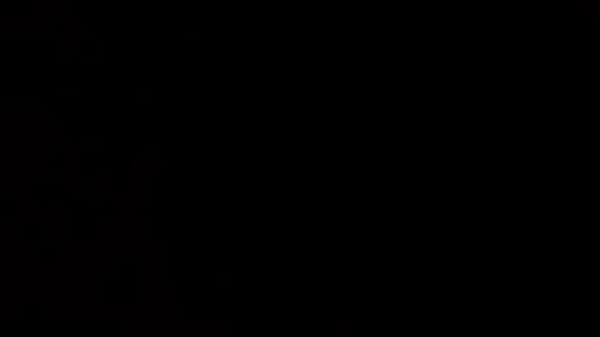 Puerto Panamanian takes Black Banana