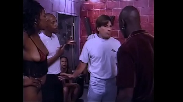 Download Video - Hardcore fuck party with a group of babes and studs fucking on the sofa