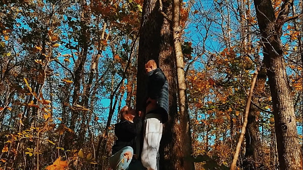 Fucked a beauty with a big ass in the forest while walking