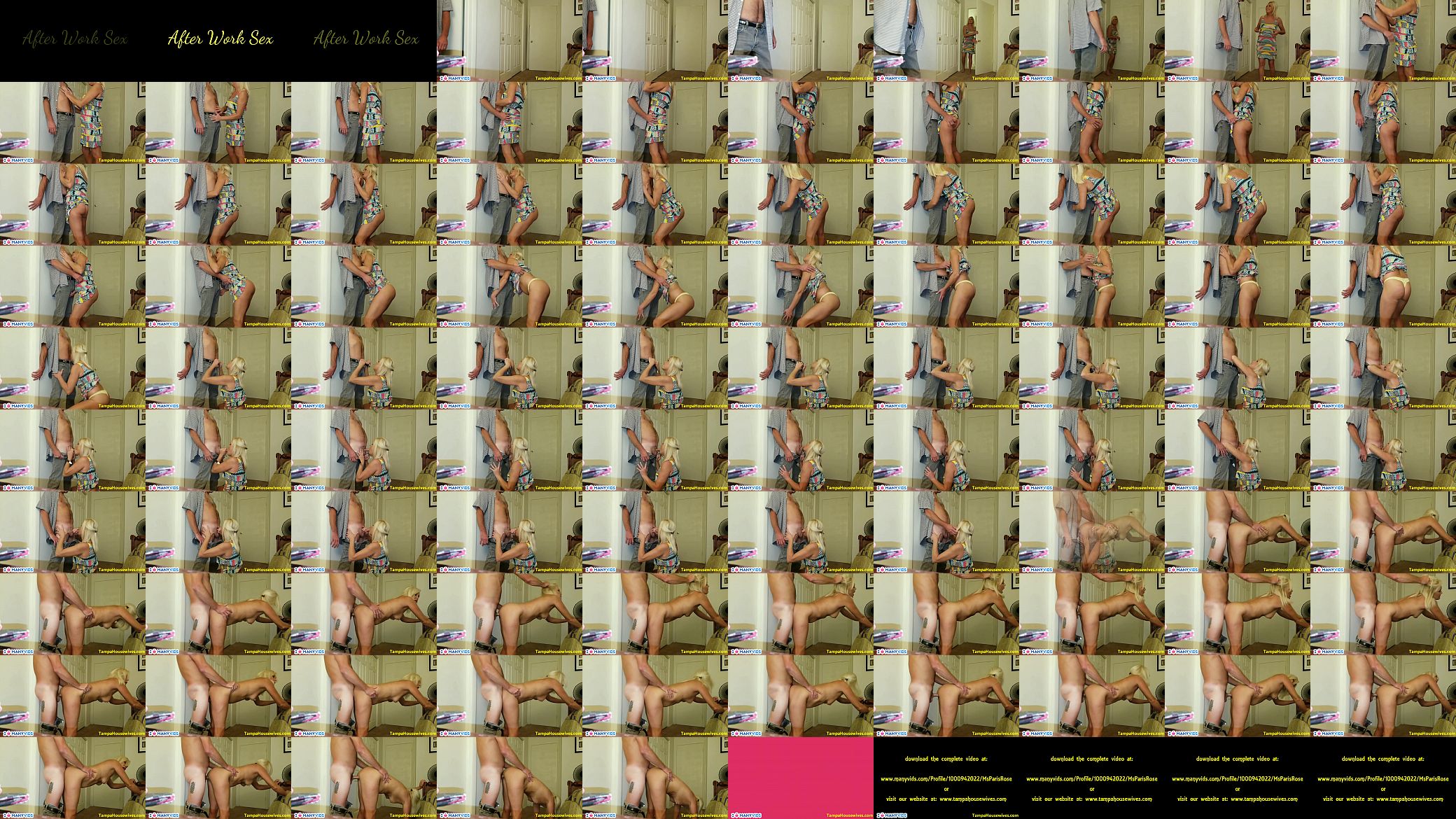 After Work Sex 预览图