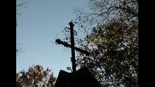 Dissolute Helen caressed tenderly