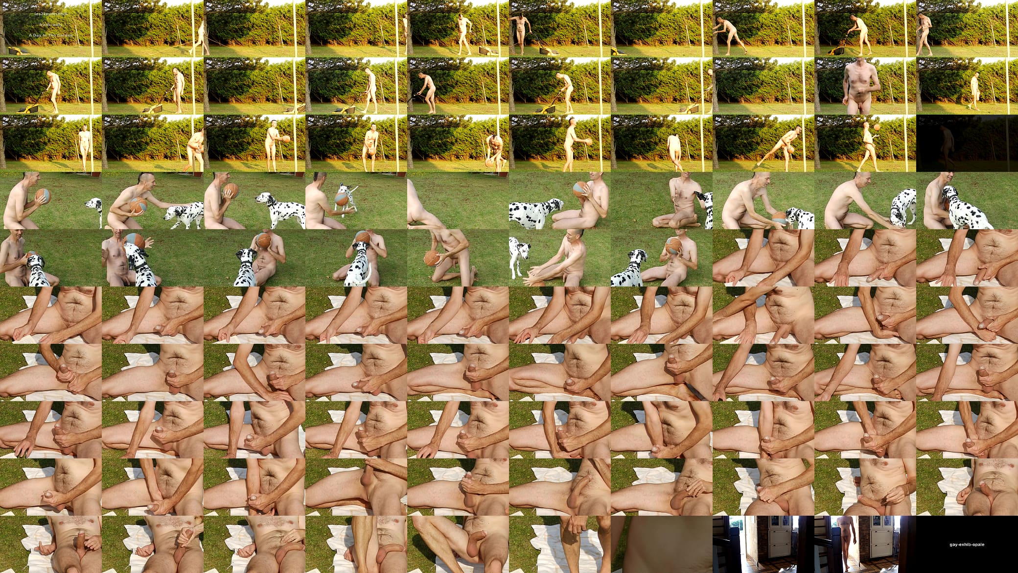 gardenfun with frank-willy 预览图