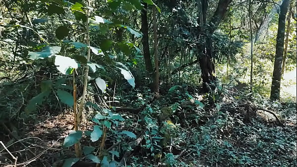 My hot stepdaughter kept teasing me in the woods, making me horny and I ended up taking the virginity of her tight ass. Vagninho and DutraSuraaa full video on Sheer.com and XRed