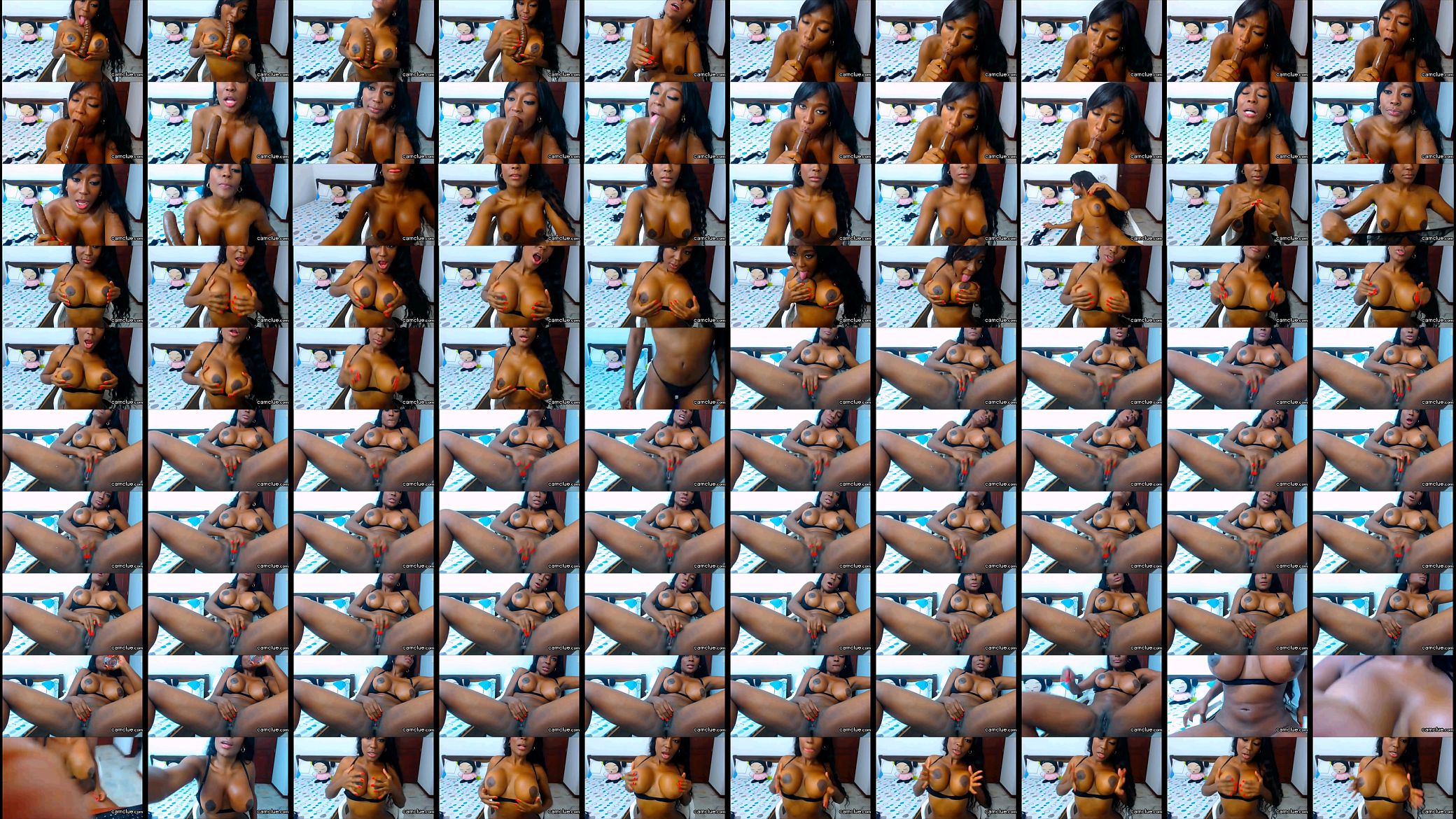 Adult Dildoing Ebony Amateur Chick 预览图