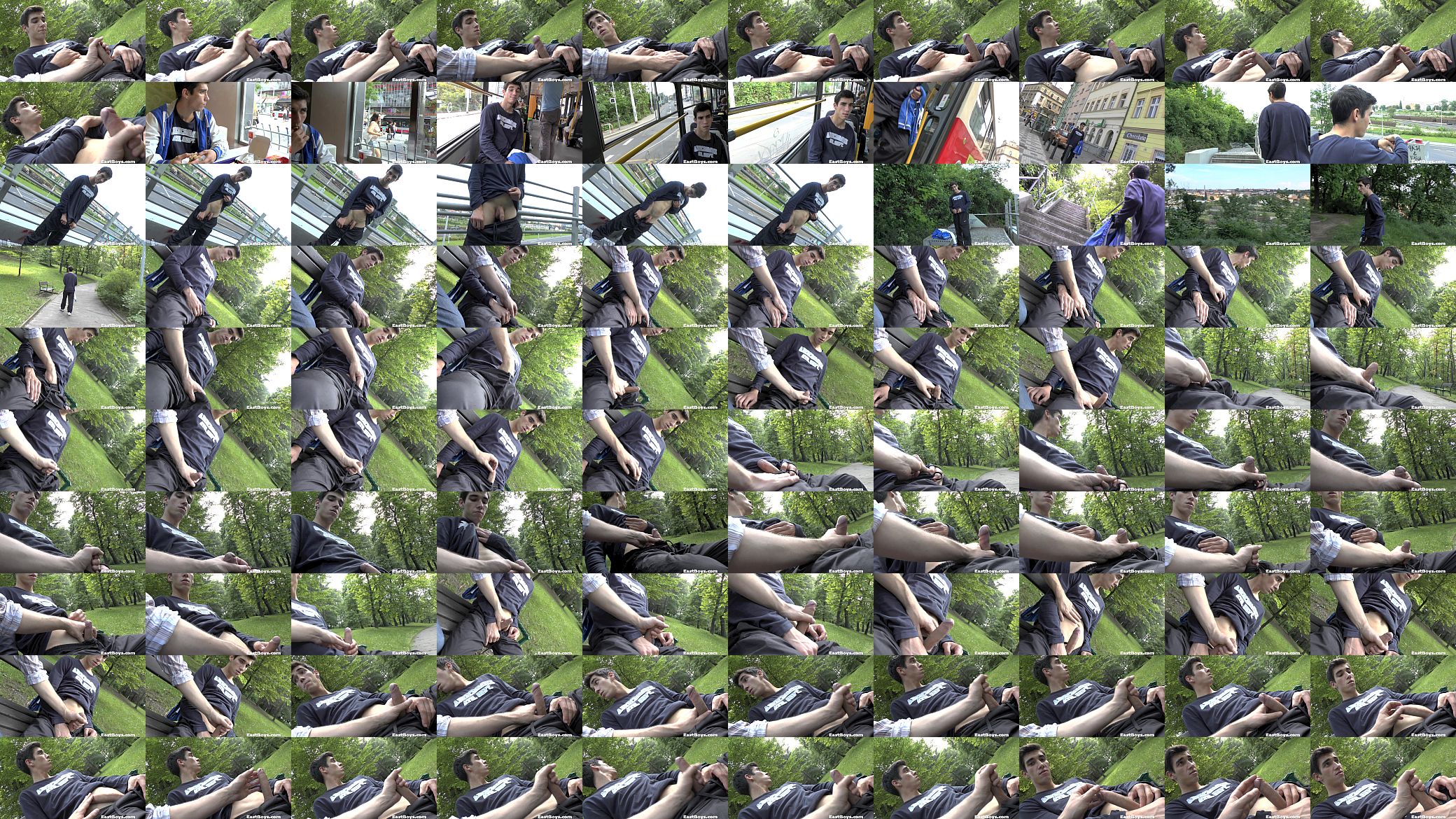 Handjob in Public Park 预览图