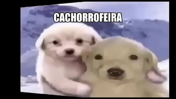 Primo comendo a prima enquanto a tia ta fora ?