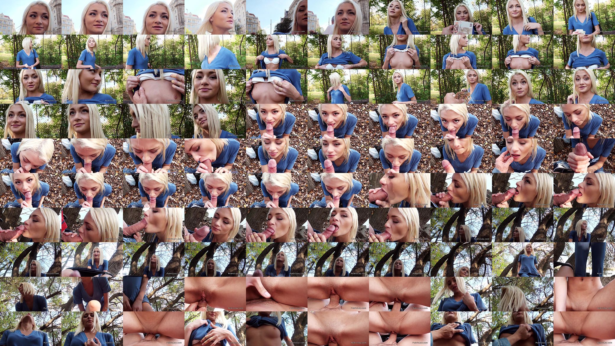 Blonde sucking dick and pounding in public pov 预览图