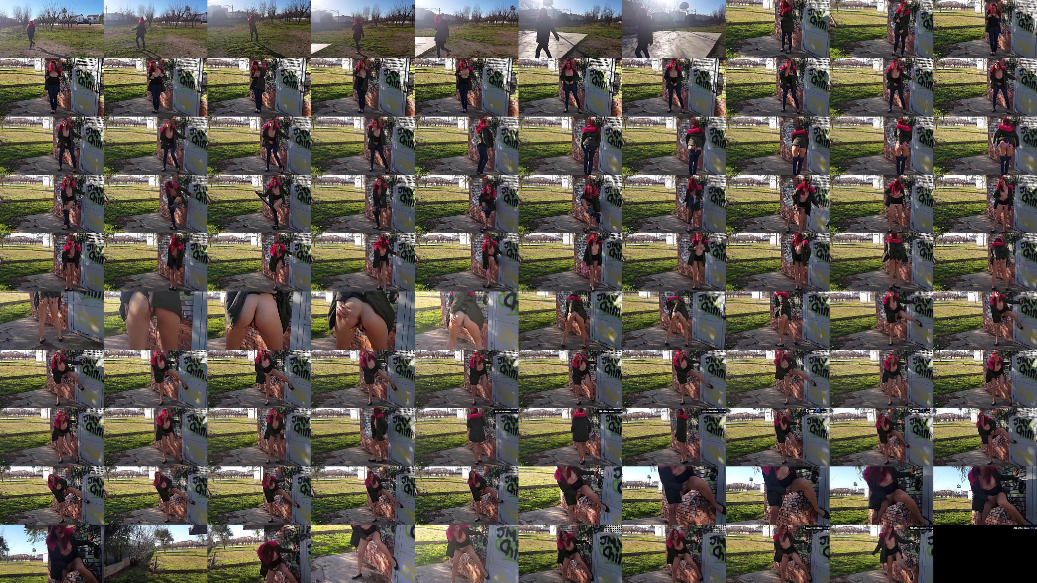 A good day for squirting in the public park 预览图