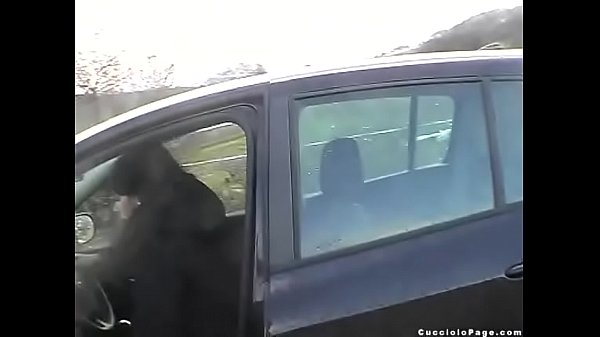 Supervised Driving