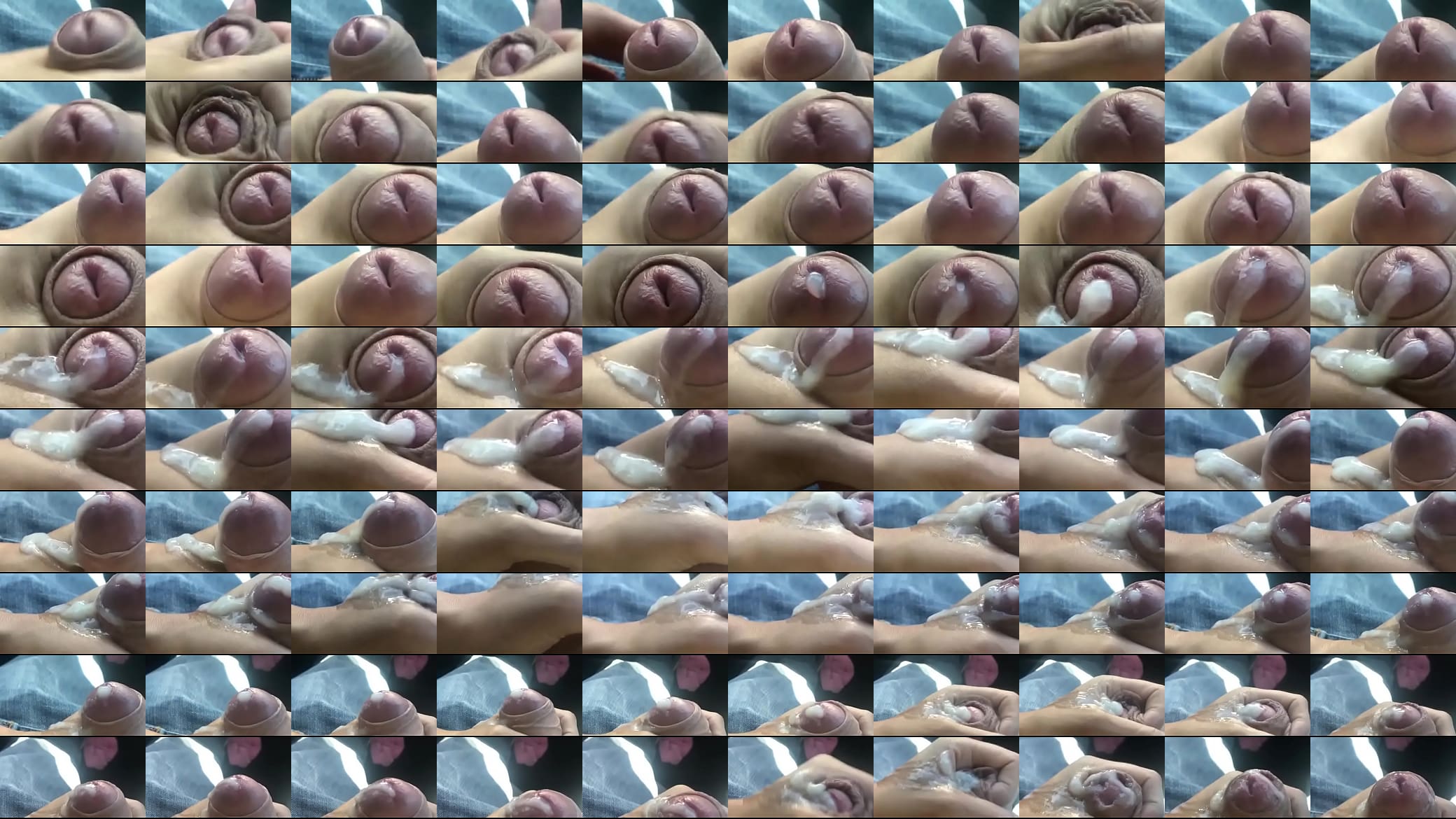 Verification video 预览图