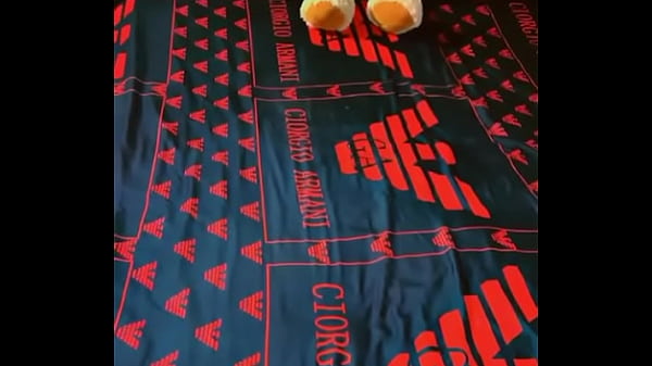 Sundaydogood614 - update #618 - VID 20241117 123043 - Nov 17, 2024