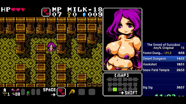 The of Succubus (Any%) in 28:01