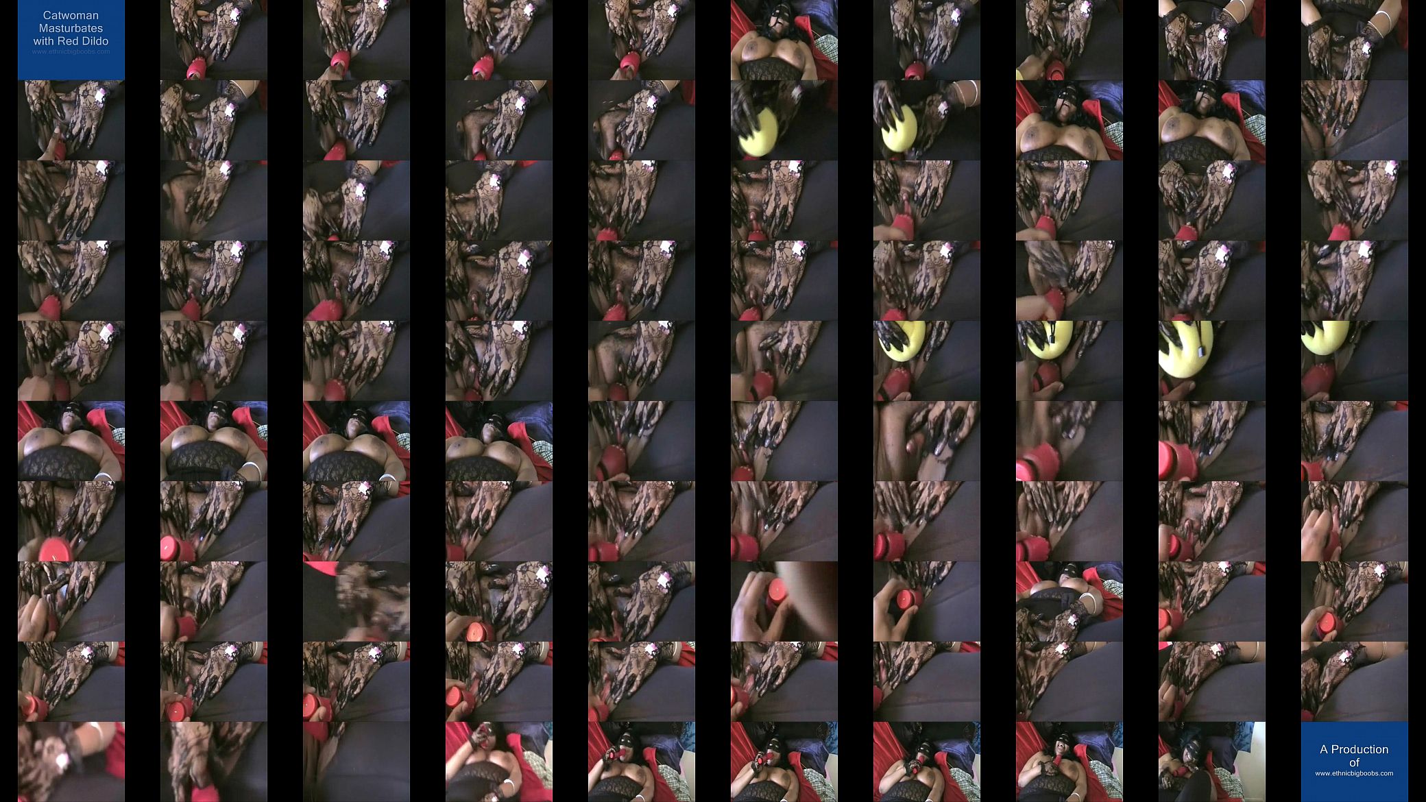 Catwoman Masturbates 预览图