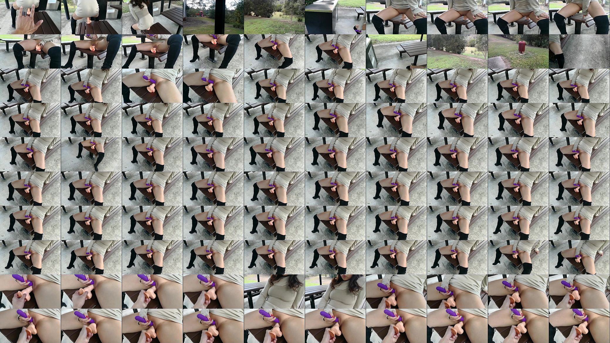 Asian slut JJ riding a dildo in public 预览图