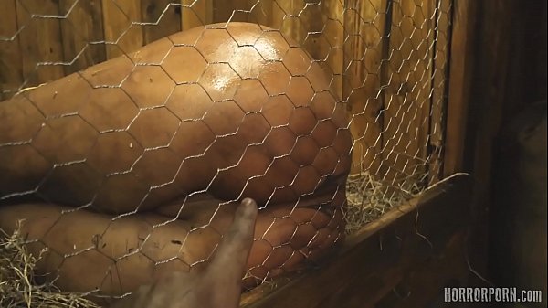 HORRORPORN - Rabbit hutch