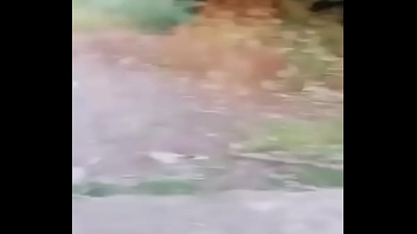 Indianos com um arco gigante metendo na maçã