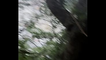 E o Grandão desbravamos a floresta e encontramos um ninho de trepa