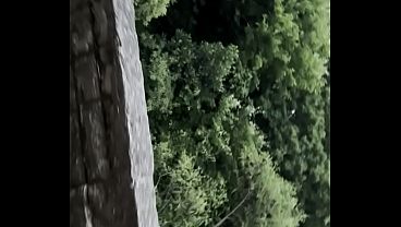 And Grandão, we ventured into the forest and found a tree trunk nest.