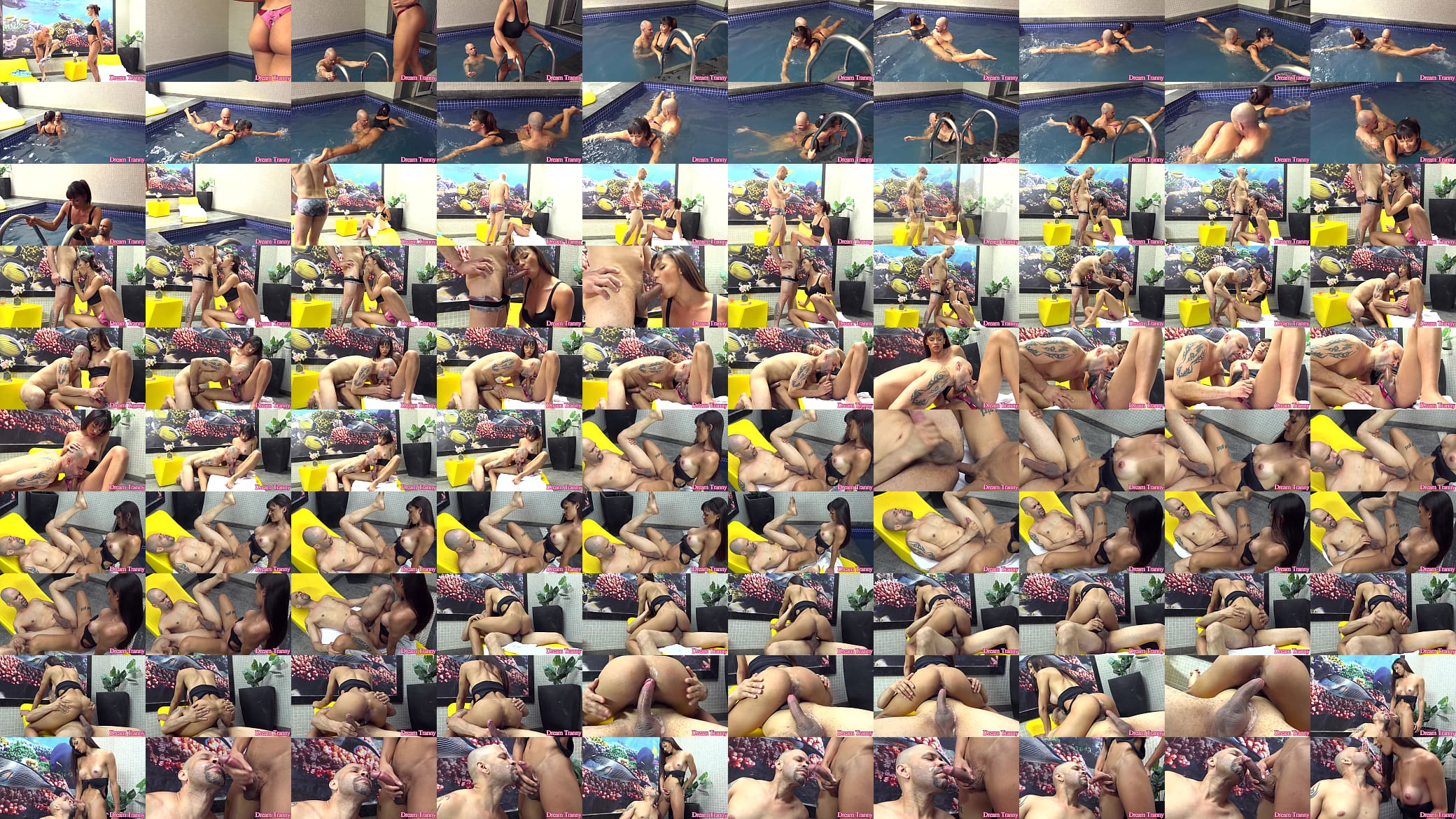Swimming Lesson for Tgirl Gabrielly Ferraz Turns Into a Bareback Flip Fuck 预览图