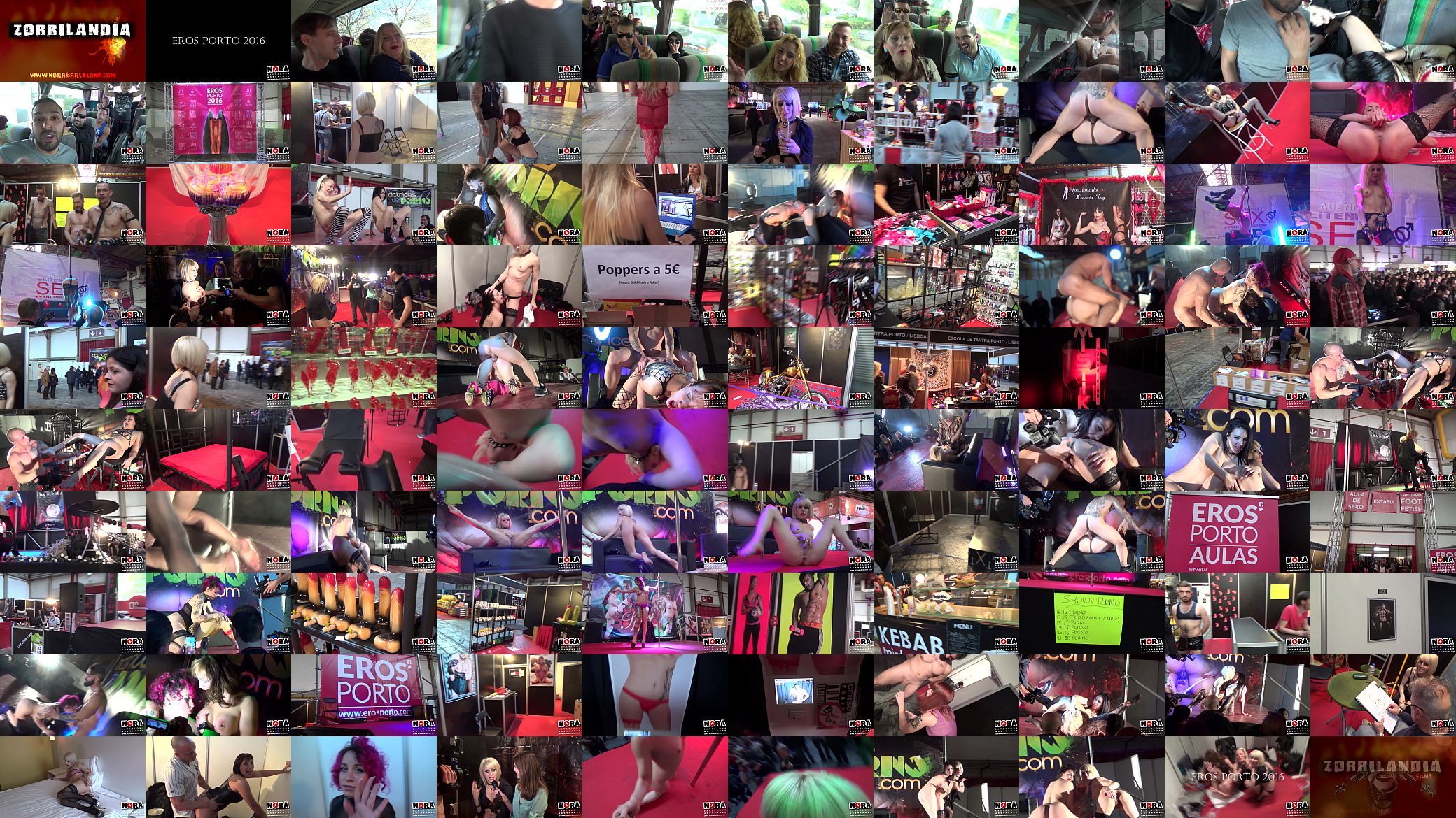 Eros Porto 1 - 2016 预览图