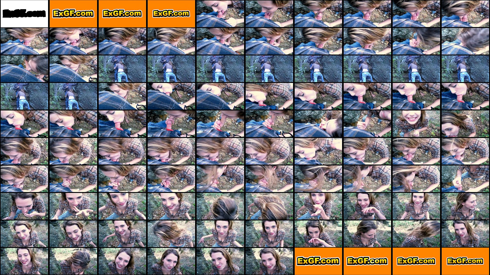 EXGF Outdoor Blowjob 预览图
