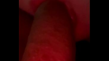 Gorditasexioficial - アップデート #56 - コピー 8415000B-9C38-4143-B7BC-F6743325092D - 2026年6月5日