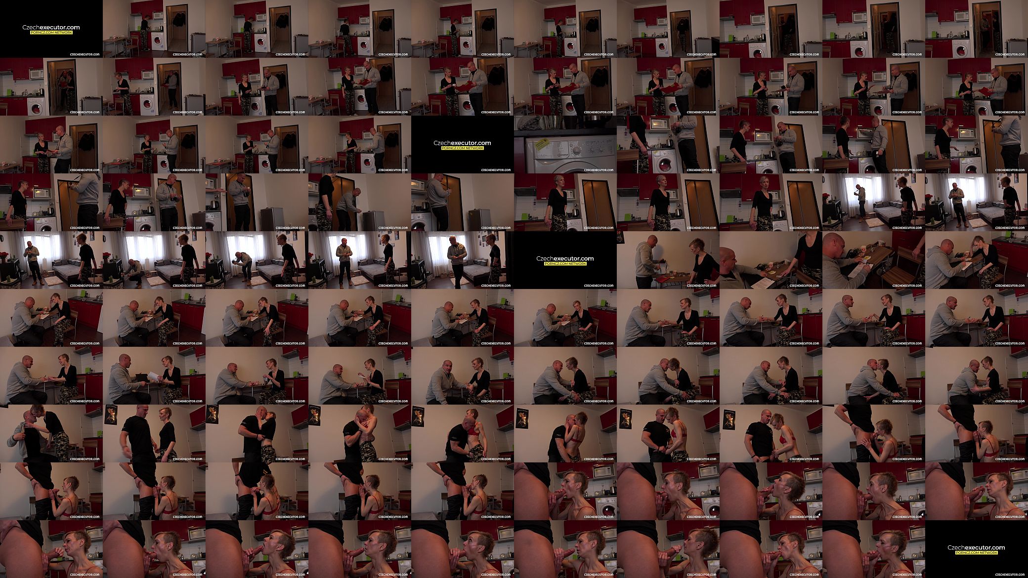 Horny milf fucked hard 预览图