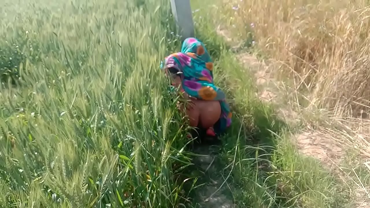 Desi boy fucks a desi girl well