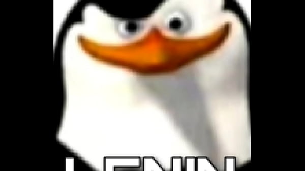 O QUE VOCÊ ESTÁ FAZENDO AQUI AMIGO !?