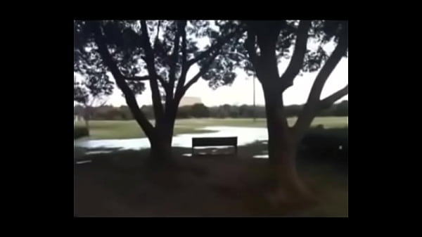 Man walks through park and observes massive revine forming on the ground.