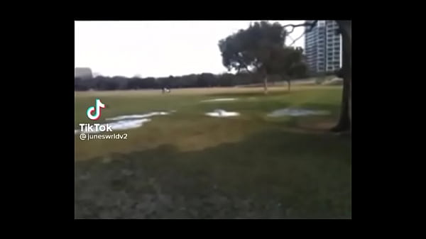 Man walks through park and observes massive revine forming on the ground.