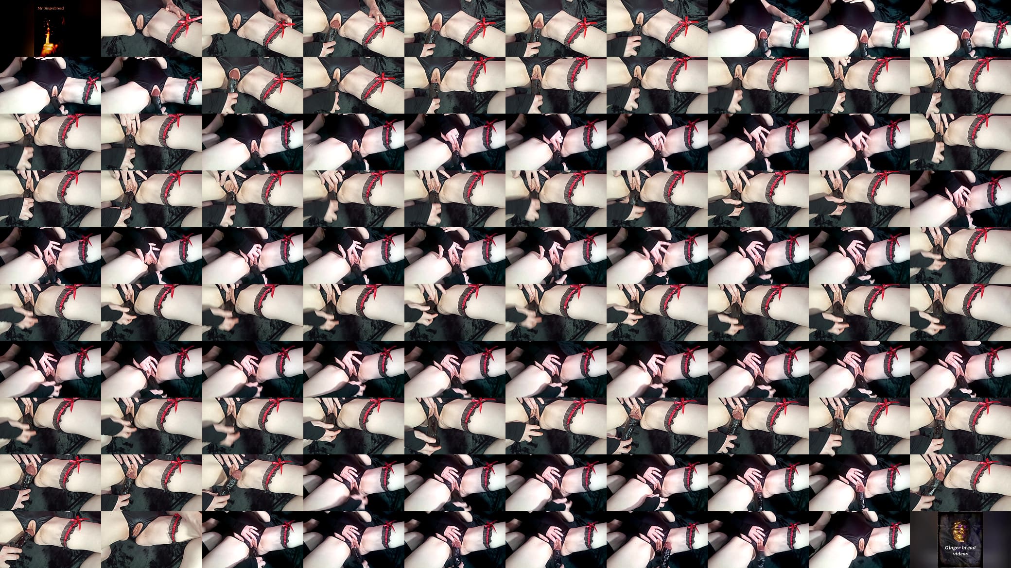 The milf who loves a dildo 预览图