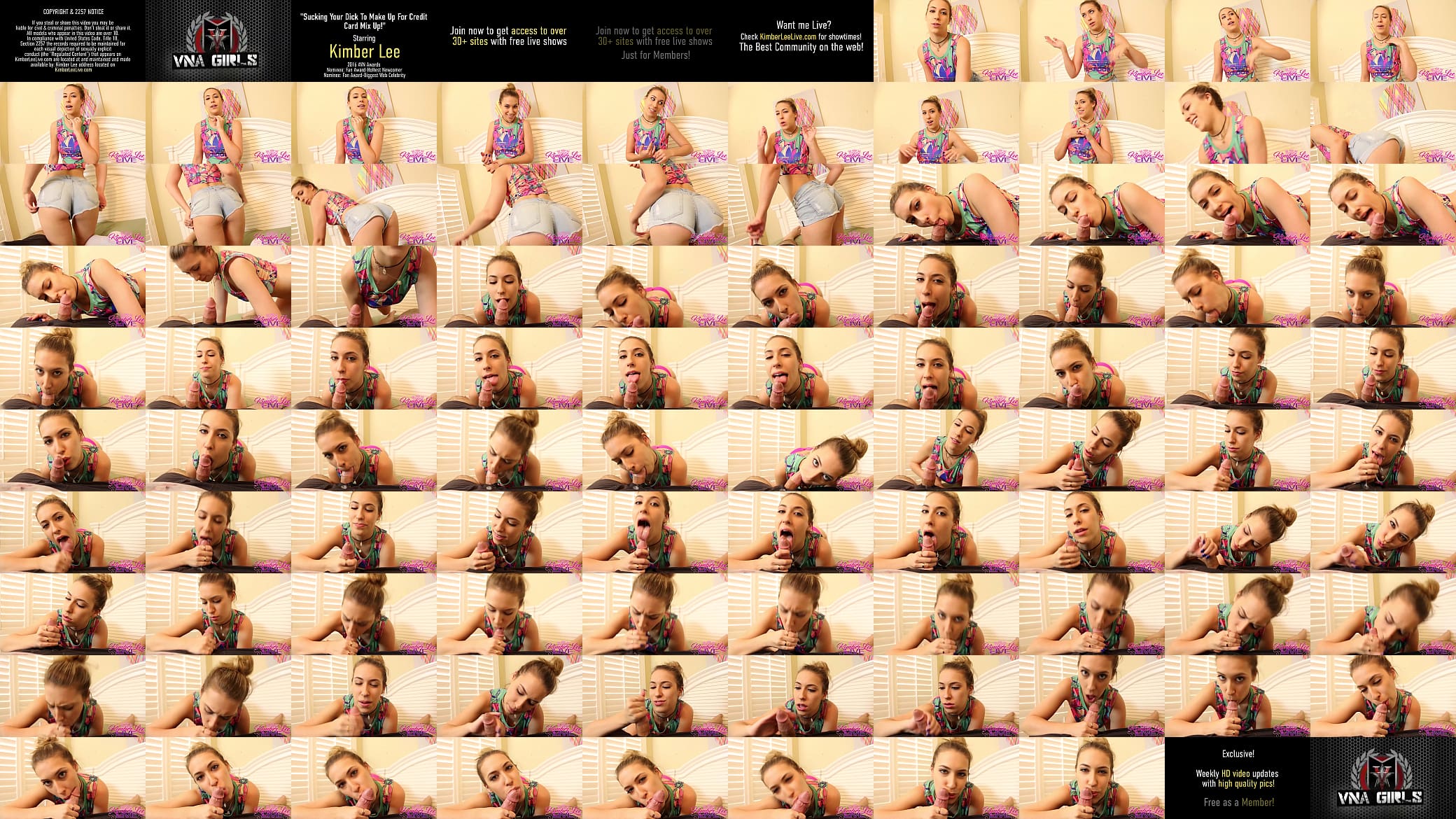Curvy Blowjob Princess Kimber Lee Milks Your Lucky Stiff Dick! 预览图