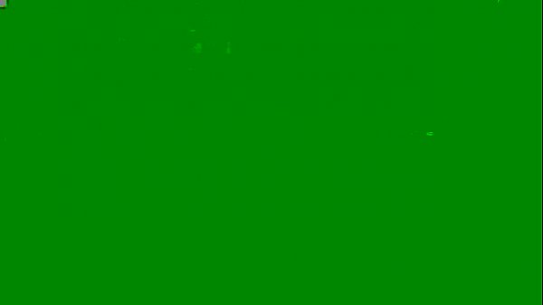 Do you like protein shakes CEI