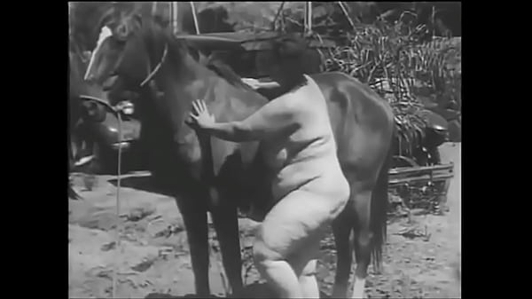 Retró szőrös vadászat