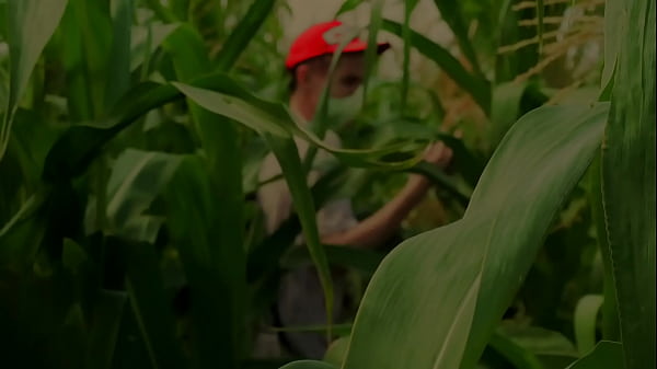 Help a friend in the cornfield
