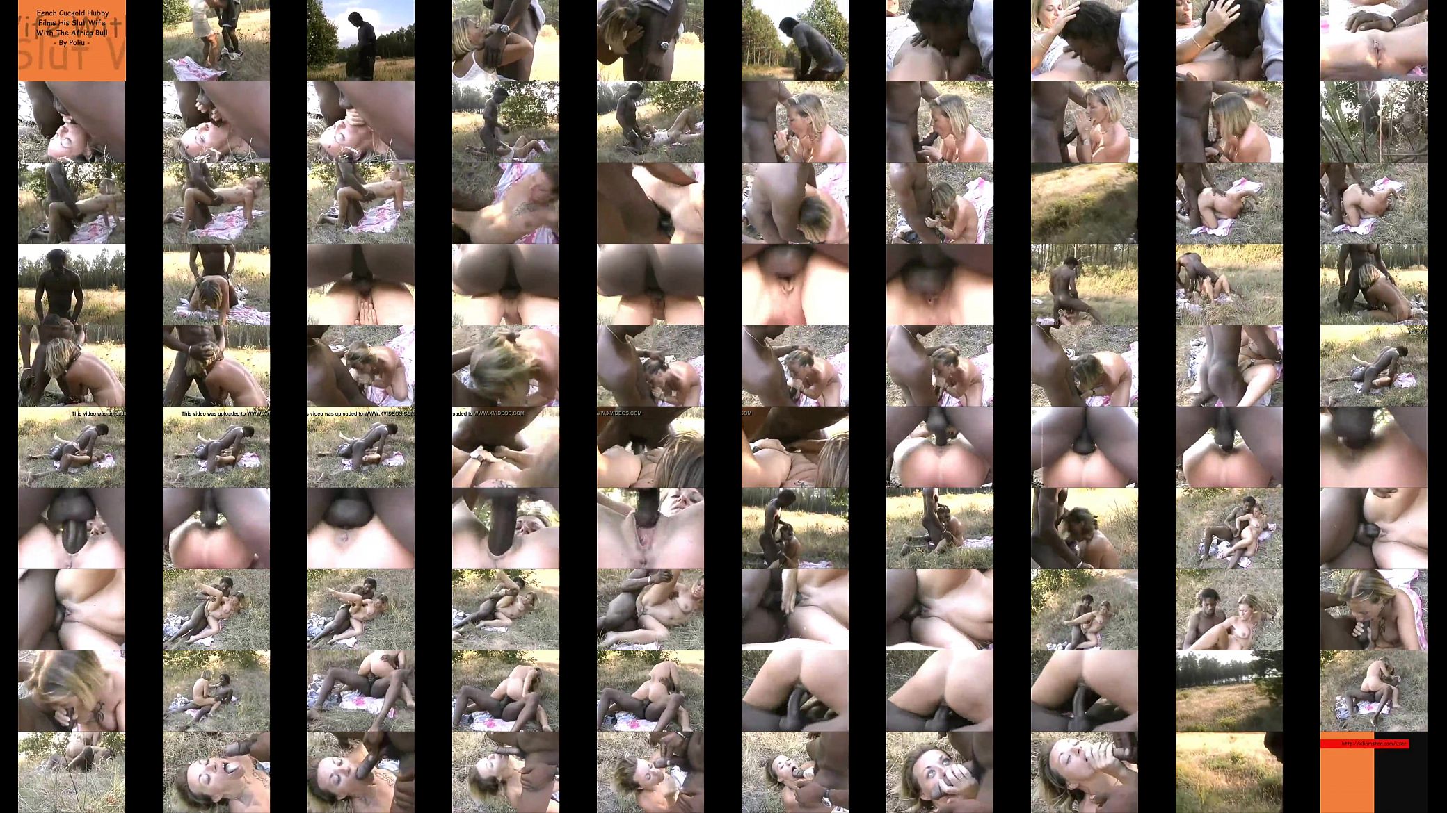 black cock in wild forest 预览图