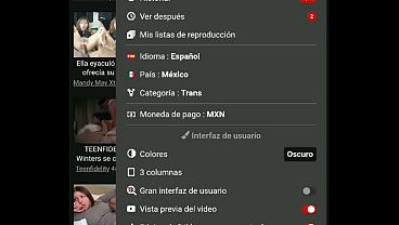 Vídeo de verificación