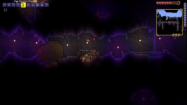 Terrecuaro 5: furros and purple balls