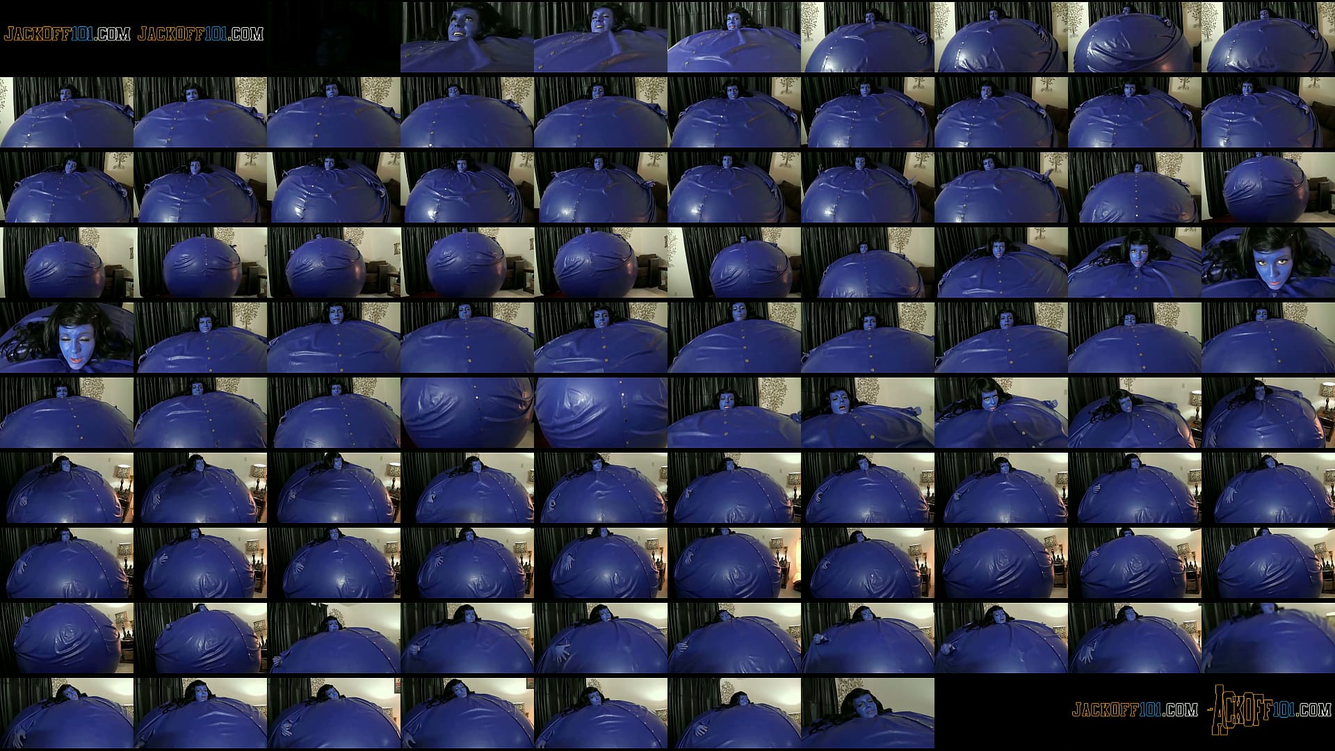 holly blueberry POV 预览图