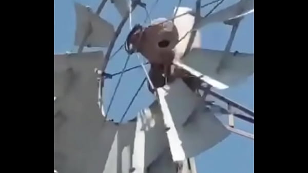 video para reirse, pobre hornerito