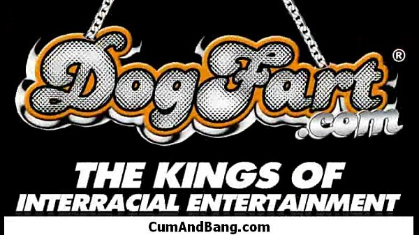 Ebony Girl Gets Slammed by some white dudes 14