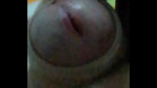 Leche leche por roko