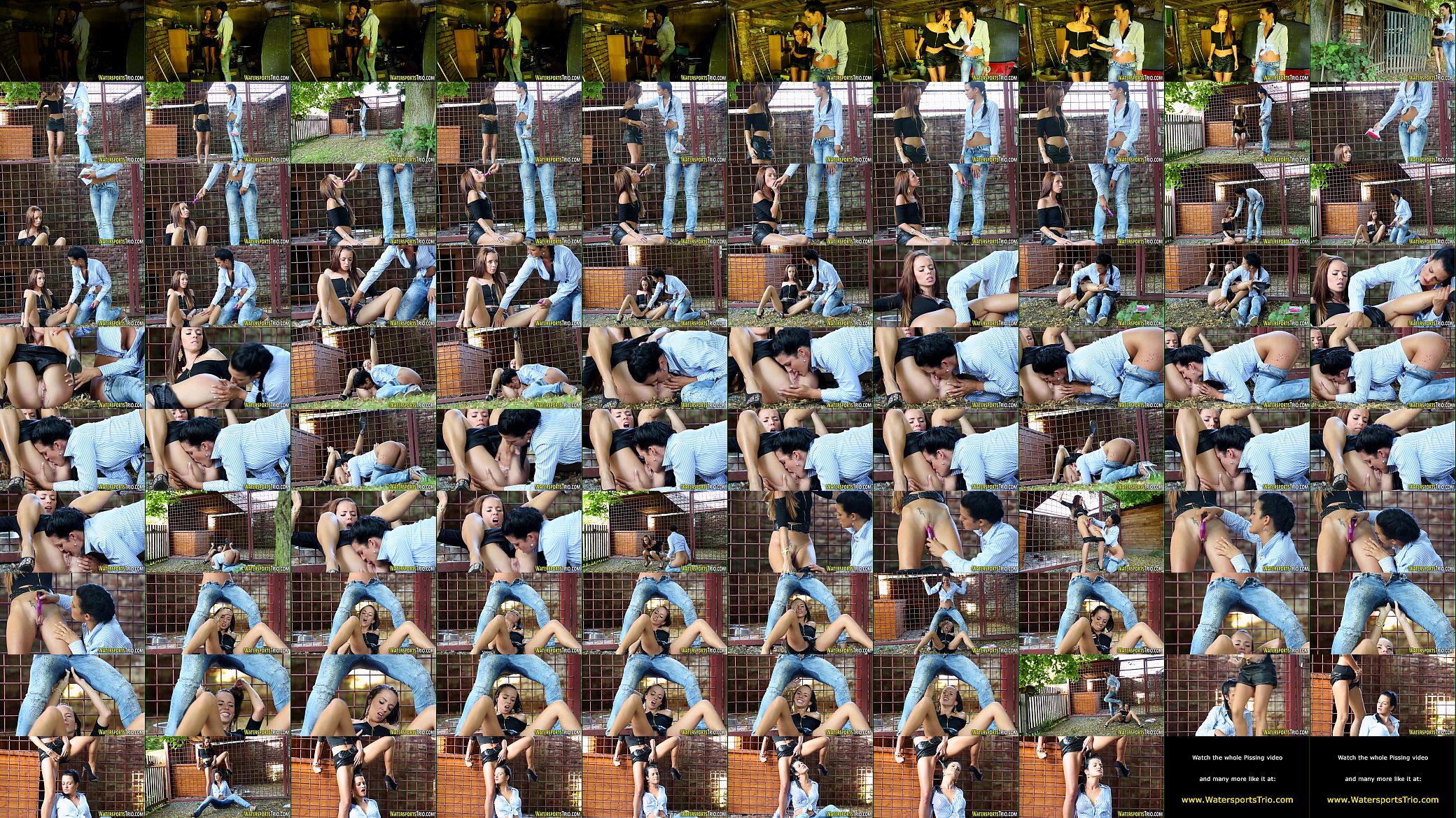 Goldenshower lesbo toying 预览图
