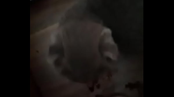 Doğrulama videosu