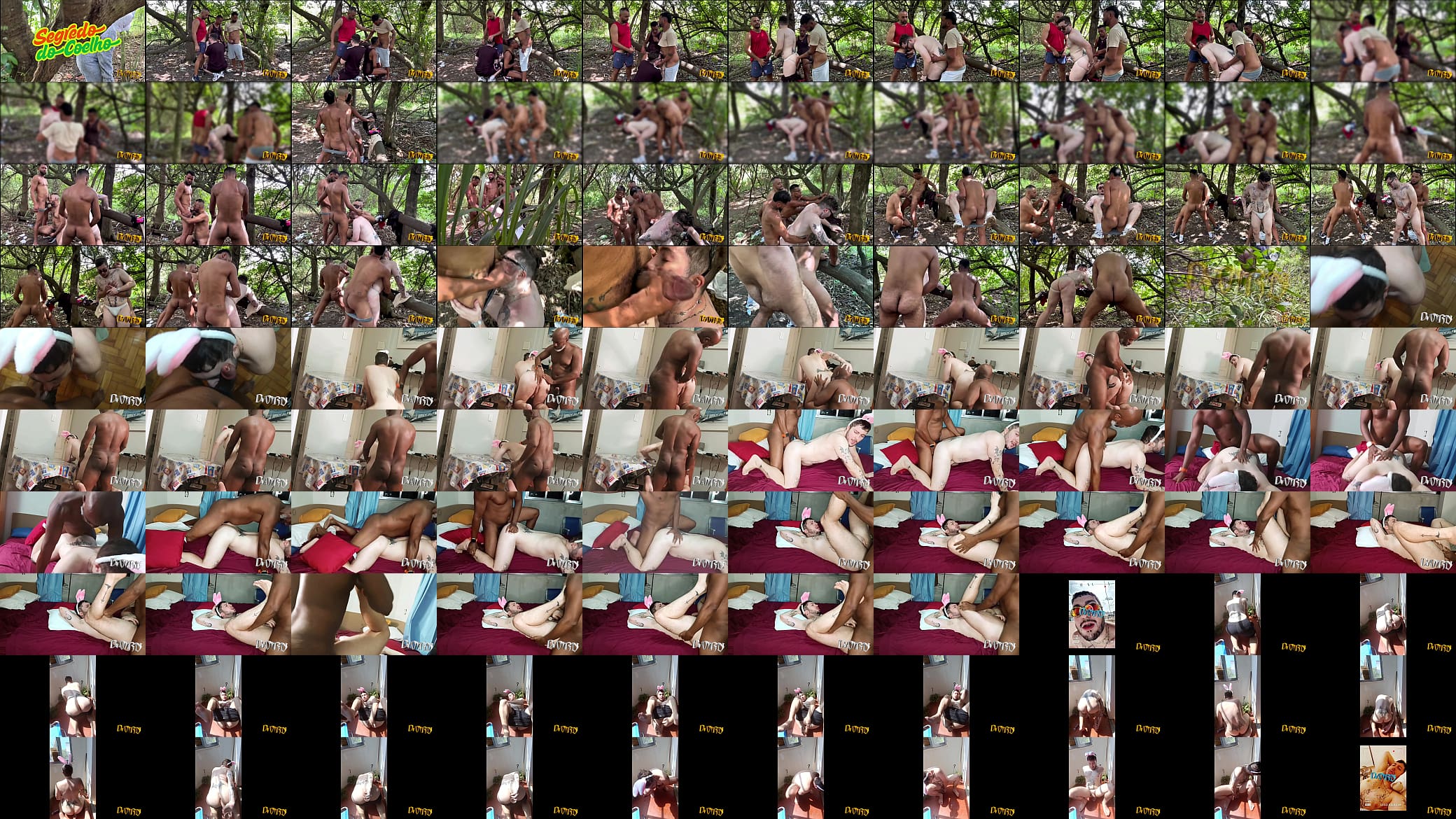 DORN loves easter (COMPLETO NO RED) 预览图