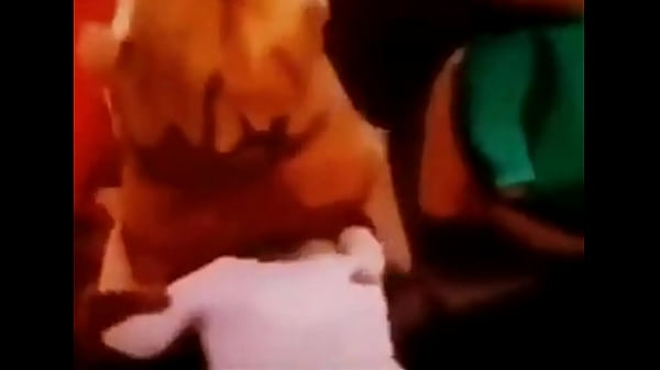 ALVIN AND THE SCROTS RECEIVING A BREAKFAST OF VELVET