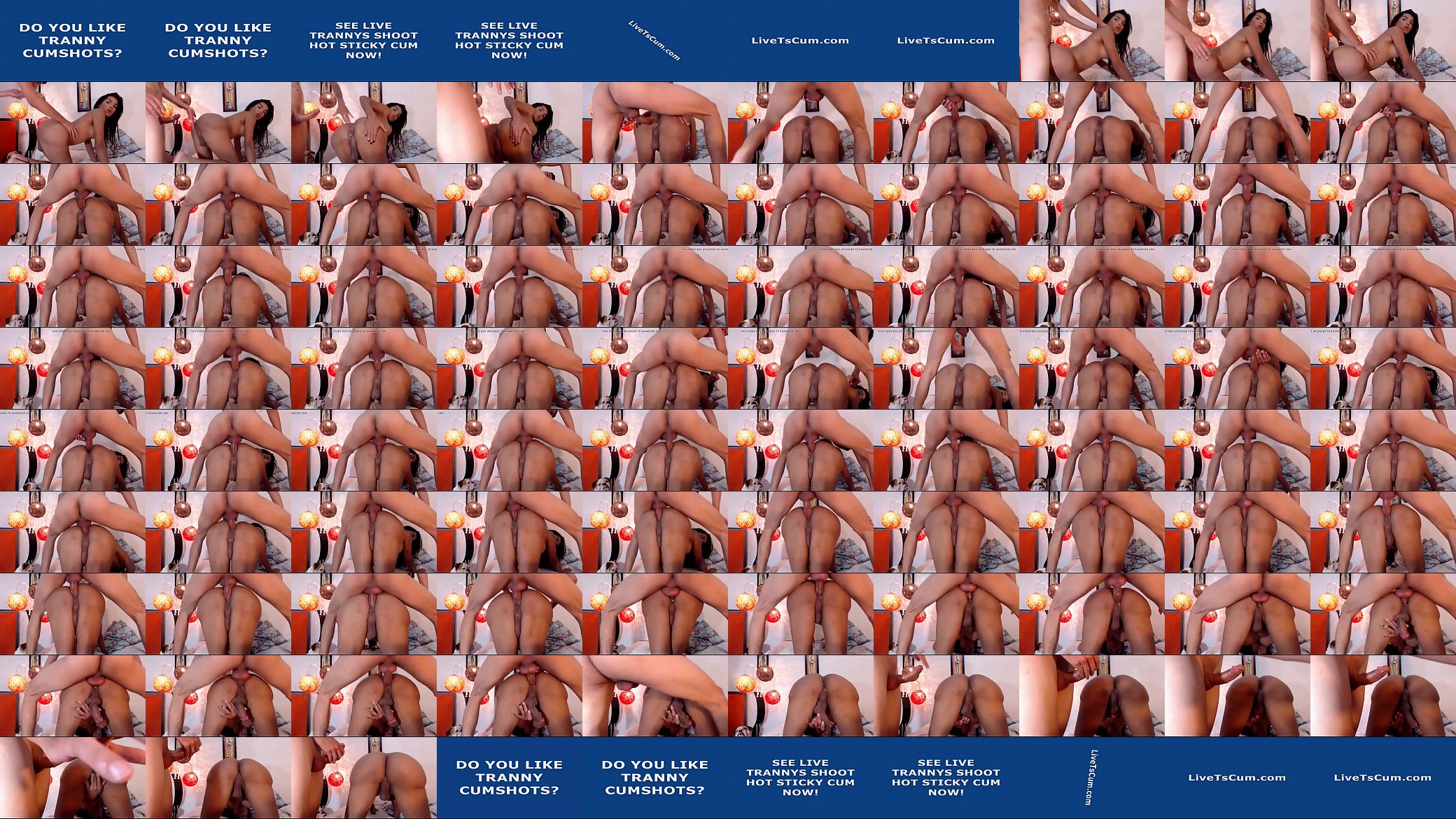 Bareback Doggystyle Webcam Cumshow 预览图