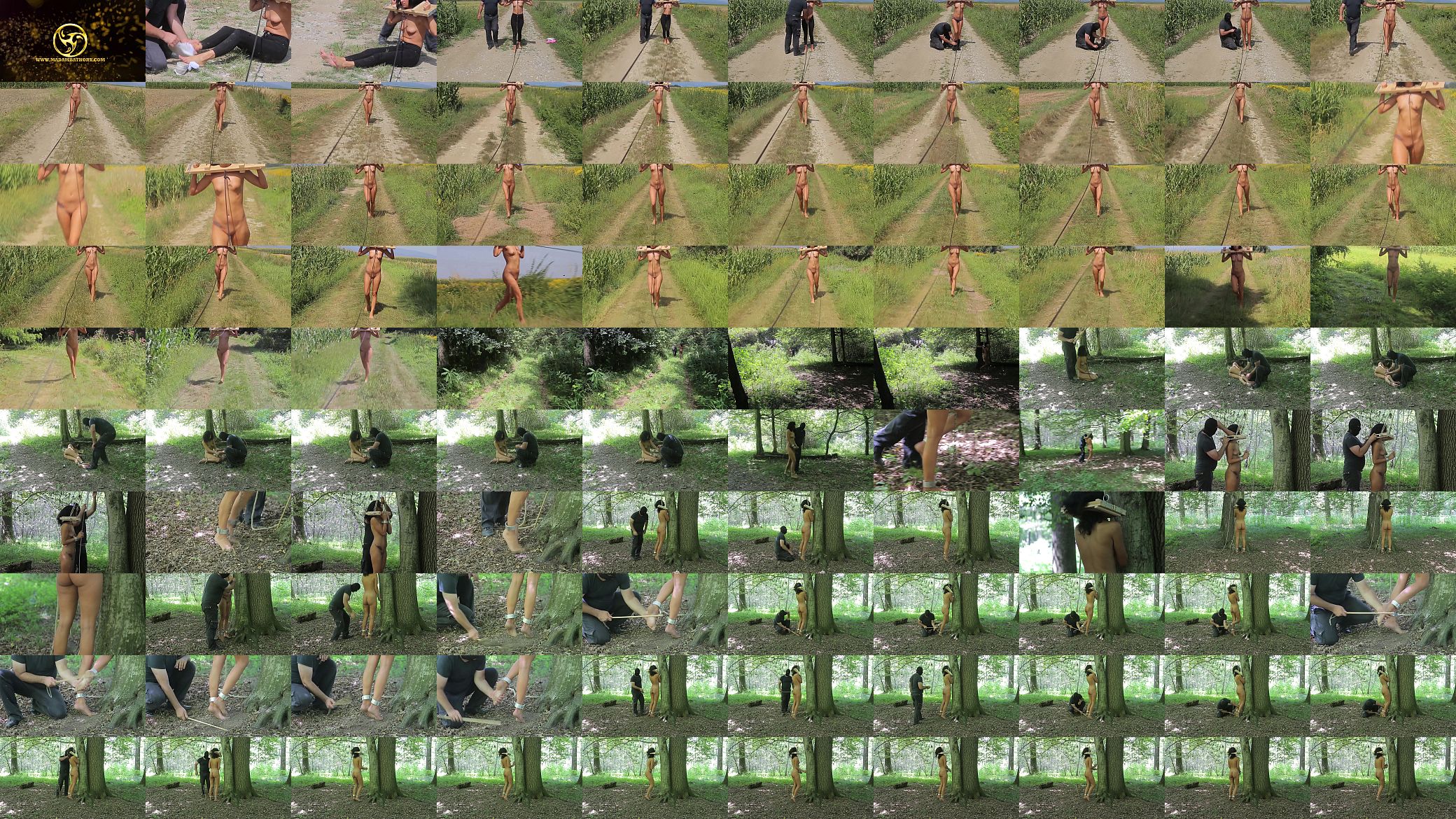 t. outdoors part 1 and part 2 预览图