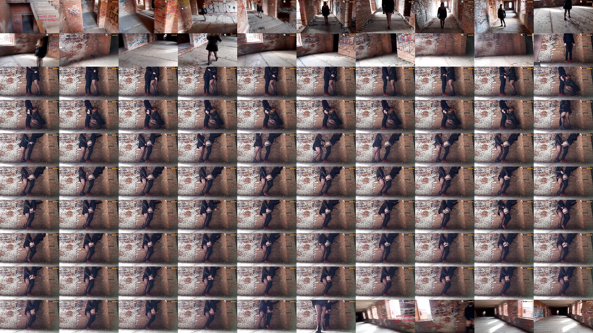 Fucked her BF in an abandoned building (Pegging) 预览图